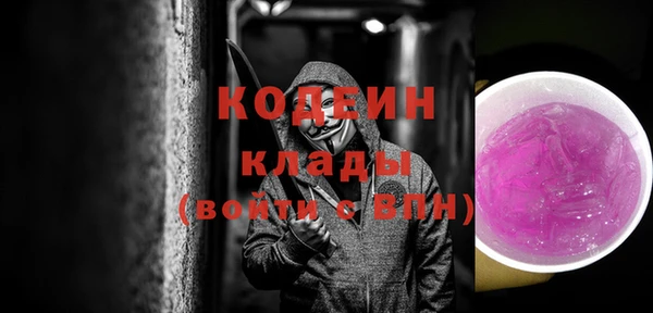 ГАЛЛЮЦИНОГЕННЫЕ ГРИБЫ Пересвет