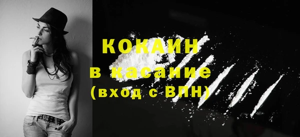 ГАЛЛЮЦИНОГЕННЫЕ ГРИБЫ Пересвет
