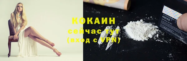 ГАЛЛЮЦИНОГЕННЫЕ ГРИБЫ Пересвет