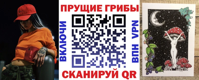 ОМГ ОМГ маркетплейс  купить наркотики сайты  Арамиль  Псилоцибиновые грибы Magic Shrooms 